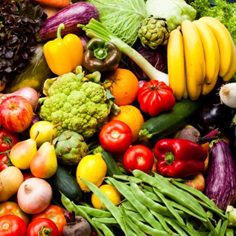 Report reveals public funding of Earth’s destruction