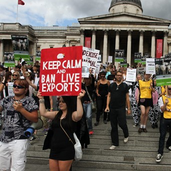Campaigners join Joanna Lumley and Compassion in World Farming in international demonstration to #StopLiveTransport