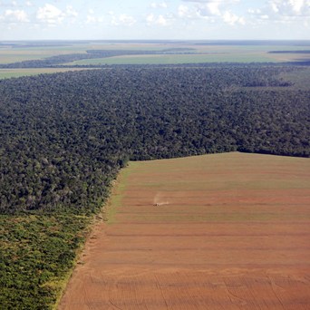 How to Love Food and Save Nature