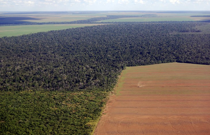 Environmental Destruction
