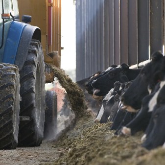 Film: Farm Animals and Us 2