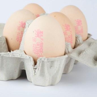 British would pay more for cage-free eggs