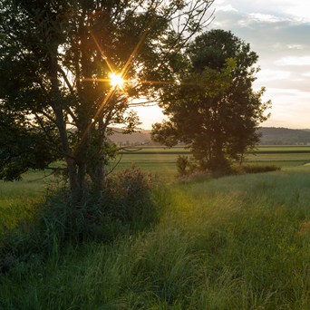 What kinds of agriculture will help us reach the sustainable development goals?