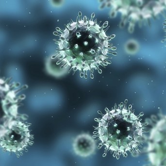 Zoonotic diseases
