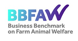 BBFAW Logo