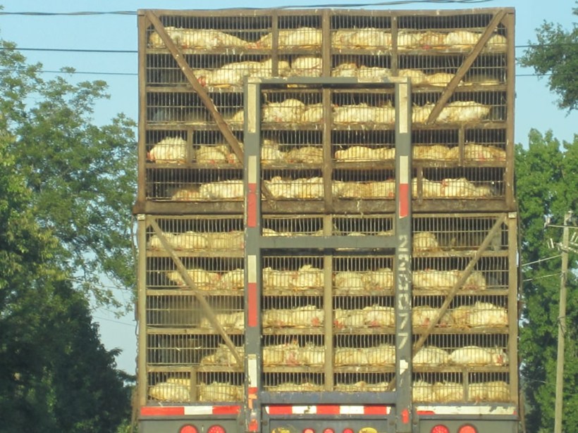 On the truck