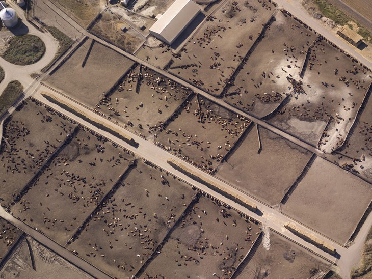 Aerial shot of a concentrated animal feeding operation