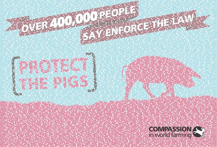 Over 400,000 people say enforce the law - protect the pigs