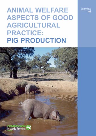 Animal Welfare Aspects of Good Agricultural Practice: Pig Production