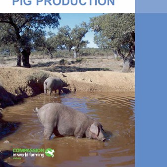 Good Agricultural Practice - Pig Production