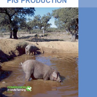 Good Agricultural Practice - Pig Production
