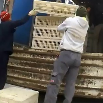 Banking on brutality