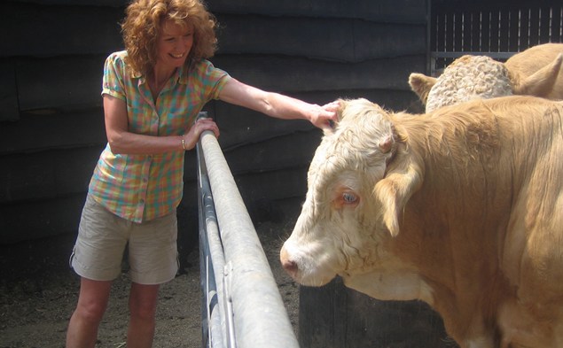 Jackie patting a cow on the head