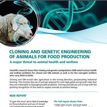 Cloning and Genetic Engineering of Animals for Food Production