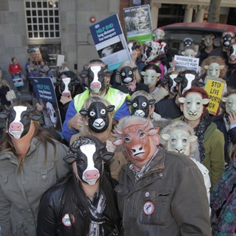 Protesters tell government: "End live exports"