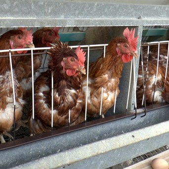 Greece continues to flout EU law