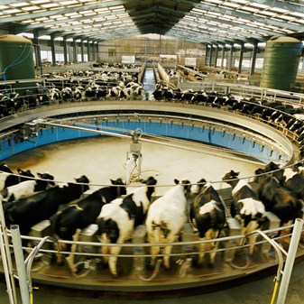 How to oppose factory farming proposals