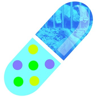 Antimicrobial resistance - 2015 briefing