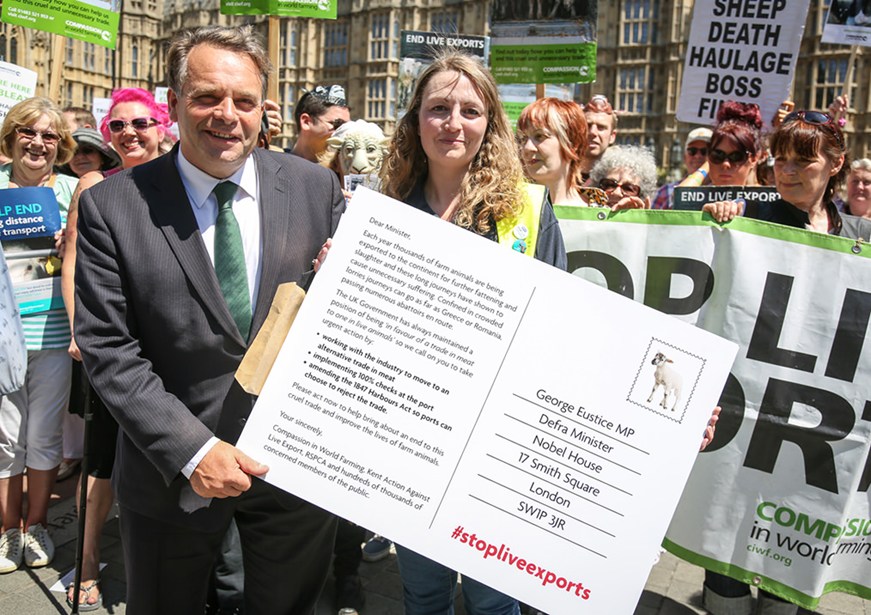 Neil Parish MP accepted a giant postcard to take to Defra with Eloise Shavelar, RSPCA farm animal campaign manager
