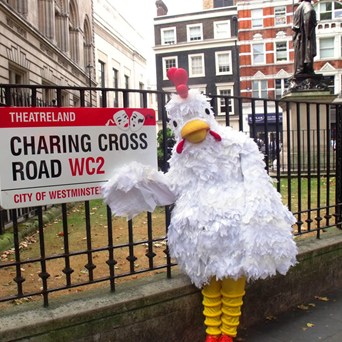 From the chickens’ mouths