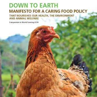 Down to Earth - Charter for a caring food policy