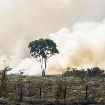 Environmental damage