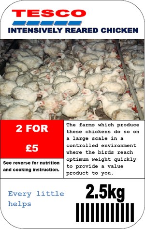 Winning label in Tesco style with intensively reared broilers