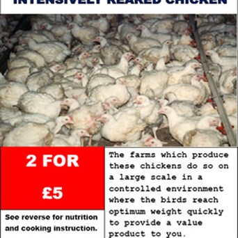 And the winner is...