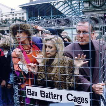 Goodbye and thank you, Lynsey