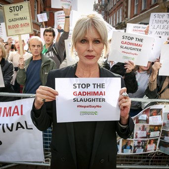 Joanna Lumley: Nepal say no to mass animal sacrifice
