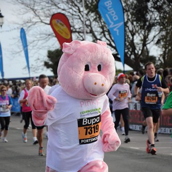 Marathon challenge for animal welfare