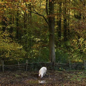 Agroecology: Ecologically-smart farming