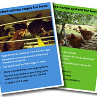 How Should We Treat Farm Animals?