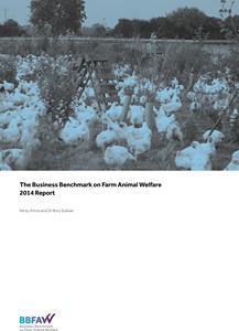 BBFAW 2014 report cover