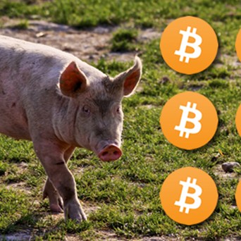 New Way to Pay for Organic