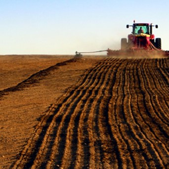 Industrial Farming – When More is Less