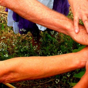 Food, Farming and Friendships on a Shoestring: Introducing the WWOOF Way