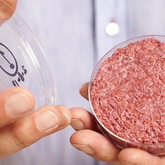 Cultured Beef: ‘Frankenburger’ or Food Saviour?