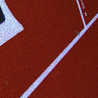 Three Fitness Fanatics Who Swear By Veg