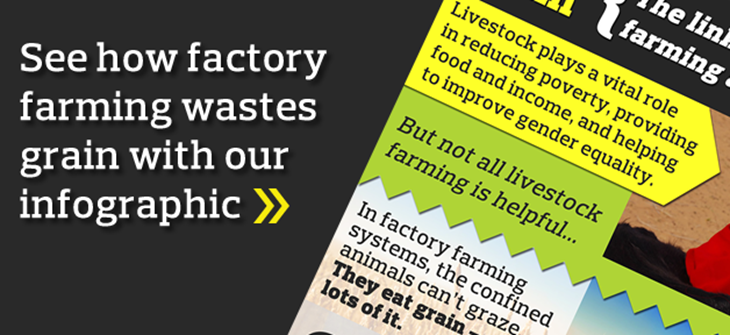 grain-drain-infographic-lightbox