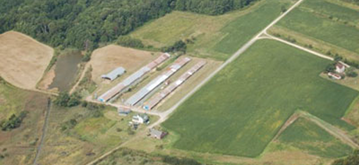 chicken_farm_aerial