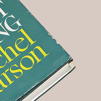 A Chicken Catastrophe for Chesapeake