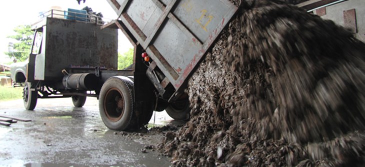 unloading_trashfish_songkla_fishmeal_plant-3