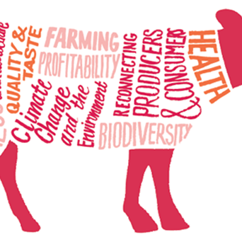 WWF on the value of meat