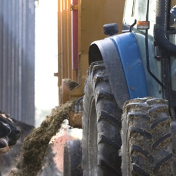 Factory Farming – More Farm Animals, Fewer Jobs