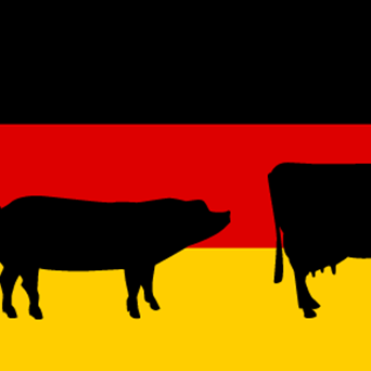 A Food and Farming Revolution in Berlin