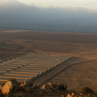 Pig Business Director Doubts Chilean Pig Factory Closure