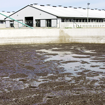 Dishing the Dirt on Factory Farming