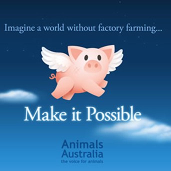 Making it Possible to Fight Factory Farming