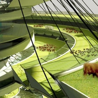 Verticality – The Future of Farming?